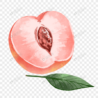 黄页网站APP最新版